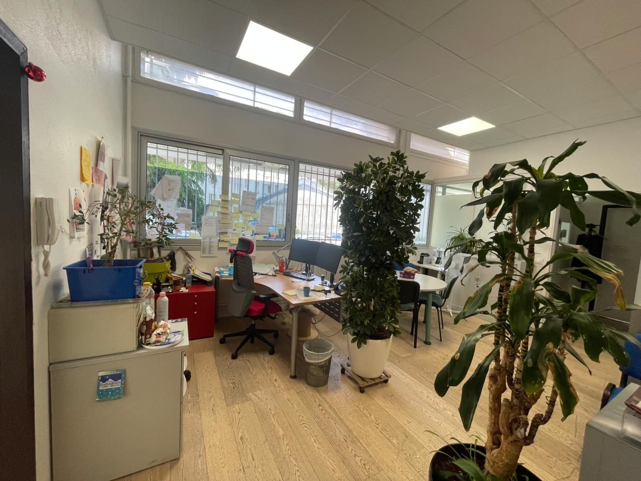 Bureau Kremlin-Bicêtre 551m² Location bureau Kremlin-Bicêtre Val-de-Marne OLBUR2424370 8